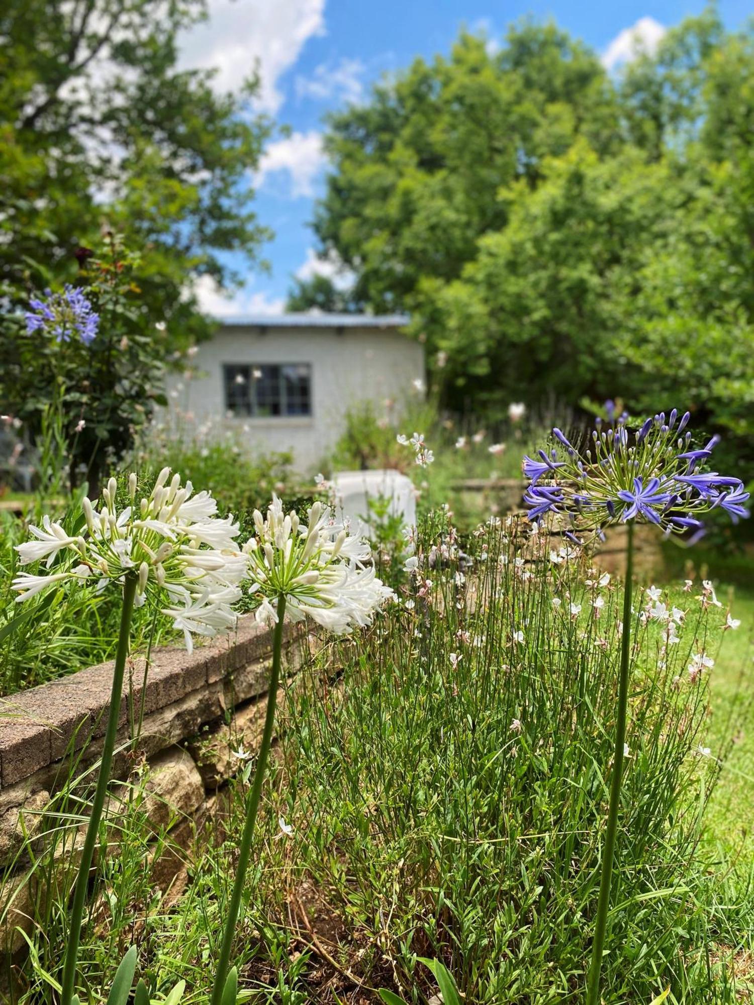 Collett House&Lavender Cottage Clarens Eksteriør bilde