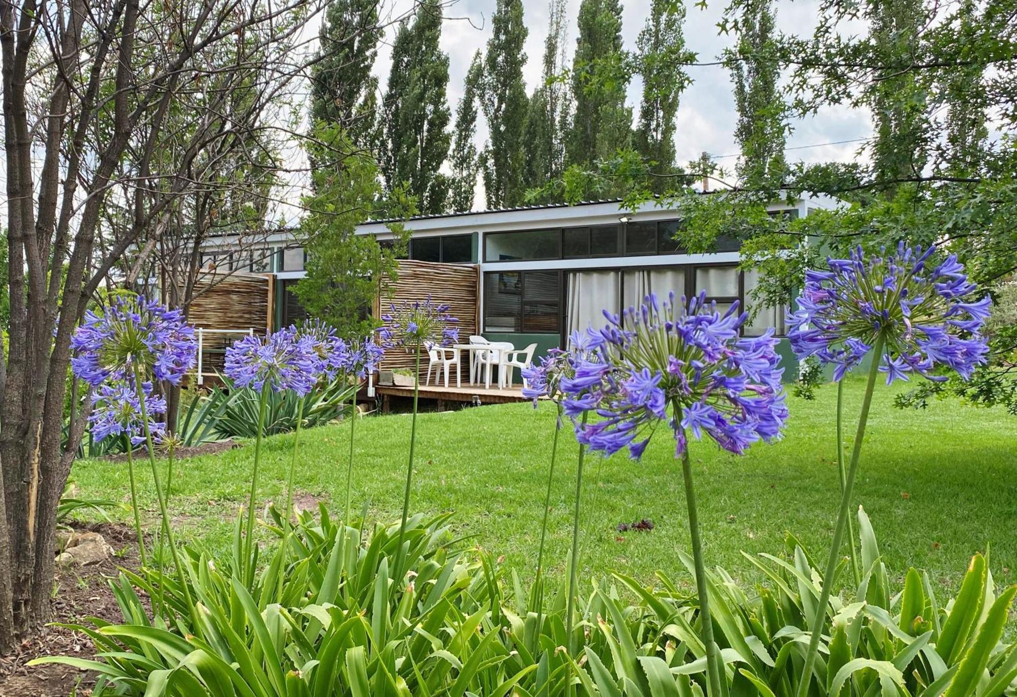 Collett House&Lavender Cottage Clarens Eksteriør bilde